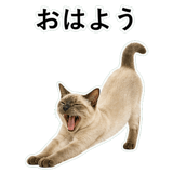 852719140