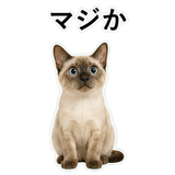 852719143