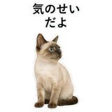 852719147
