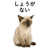 852719149
