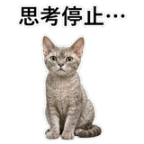 852719898
