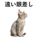 852719900