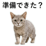 852719908