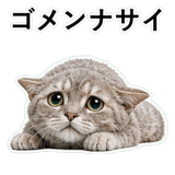 852719910