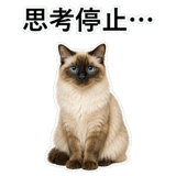 852720026