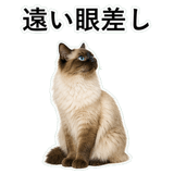852720028