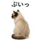 852720032