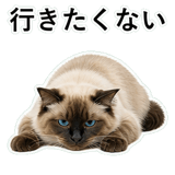 852720050