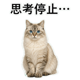 852720066