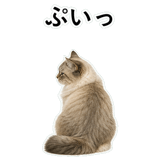 852720072
