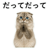 852720079