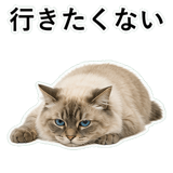 852720090