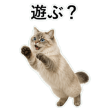 852720097