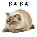 852720098