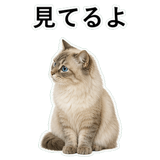852720100