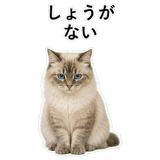 852720101