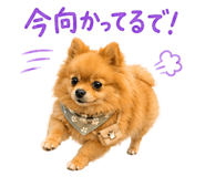 852720406