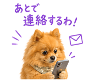 852720413