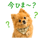 852720422