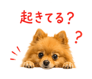 852720424