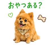 852720426