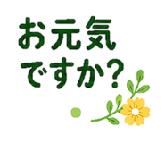 852720667