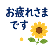 852720668