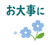 852720682