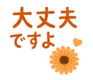 852720684