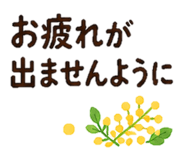 852720687