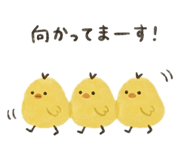 852720941