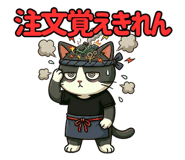 852721504