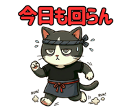 852721506