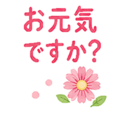 852721649