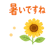 852721666