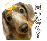852724802