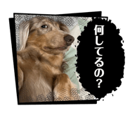 852724803