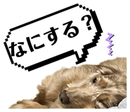 852724806