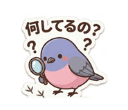 852726023