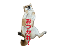 852726858