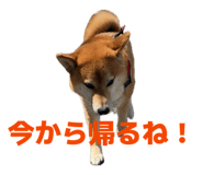 852726859