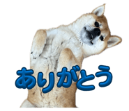 852726862