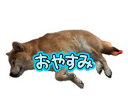 852726863
