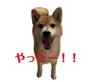 852726864
