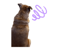 852728013