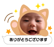 852728113