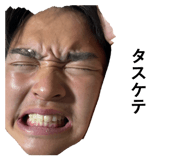 852728561