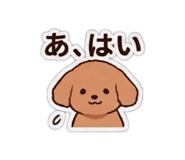 852728591