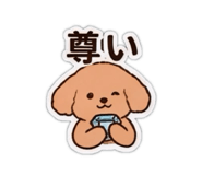852728607