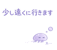 852729146
